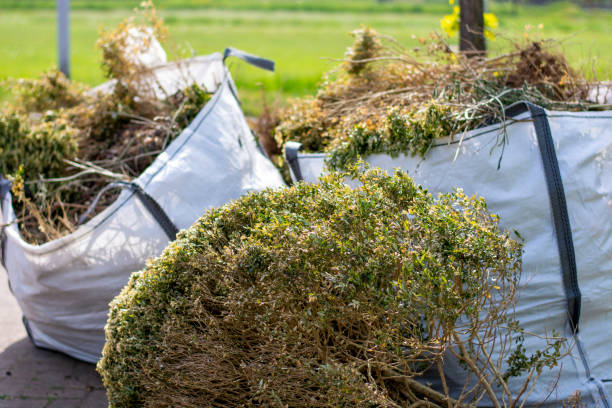 Best Junk Removal Near Me  in Judson, SC